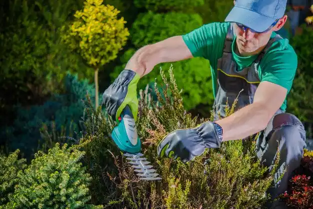 landscaping services La Rue